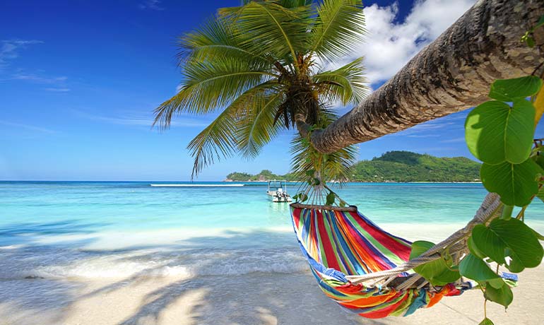 Seychelles coast